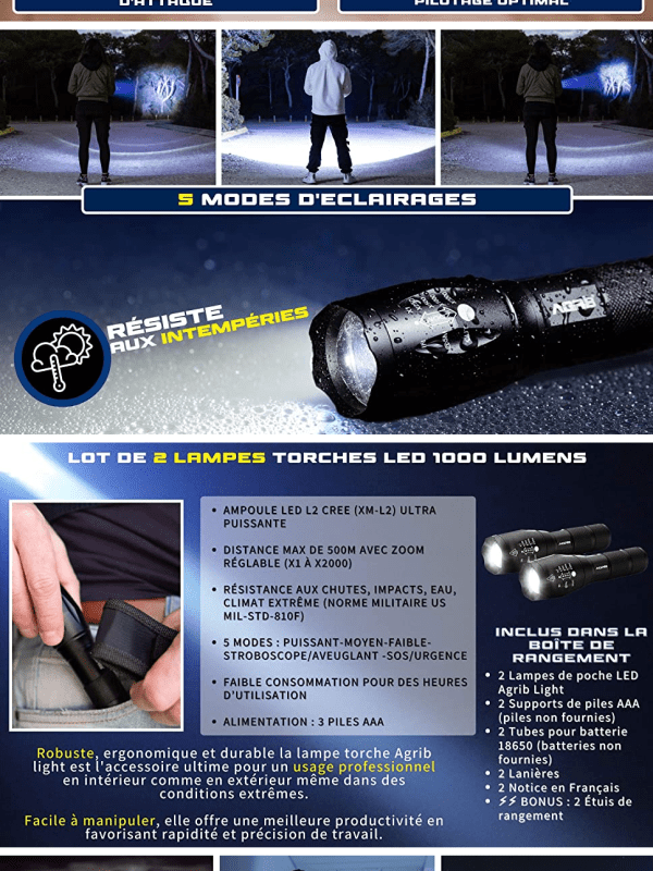 AGRIB Lampe torc